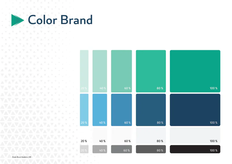 Abshir — Brand Guidelines, plate 10 of 12: Color Brand
